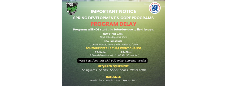 SPRING CORE AND DEVELOPMENT DELAYS